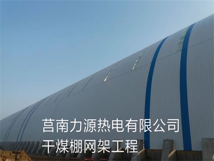 西藏力源熱電有限公司干煤棚網(wǎng)架工程